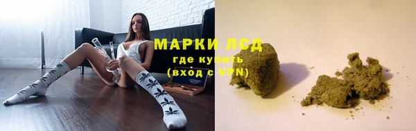 ПСИЛОЦИБИНОВЫЕ ГРИБЫ Абаза