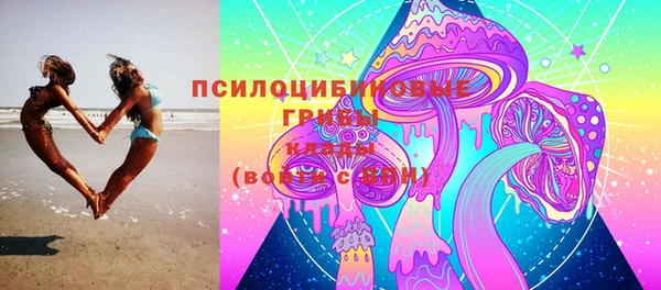 хмурый Абинск