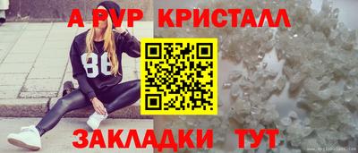 шишки Конаково