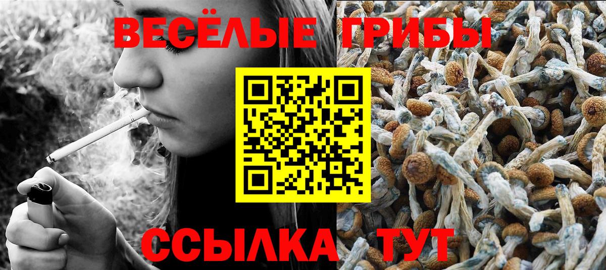 Псилоцибиновые грибы мухоморы  купить  цена  Керчь  Вход с VPN  Галлюциногенные грибы мицелий 